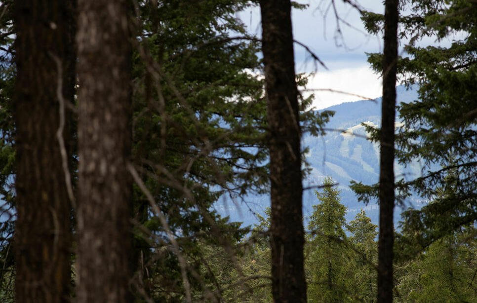 149 Rosewood Lane, Whitefish