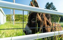 3396 Trumble Creek Road, Columbia Falls