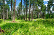 161 Rosewood, Whitefish