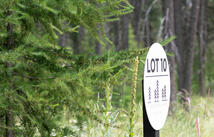 161 Rosewood, Whitefish