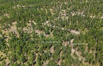 Nhn Lot 16a Corona Court, Plains