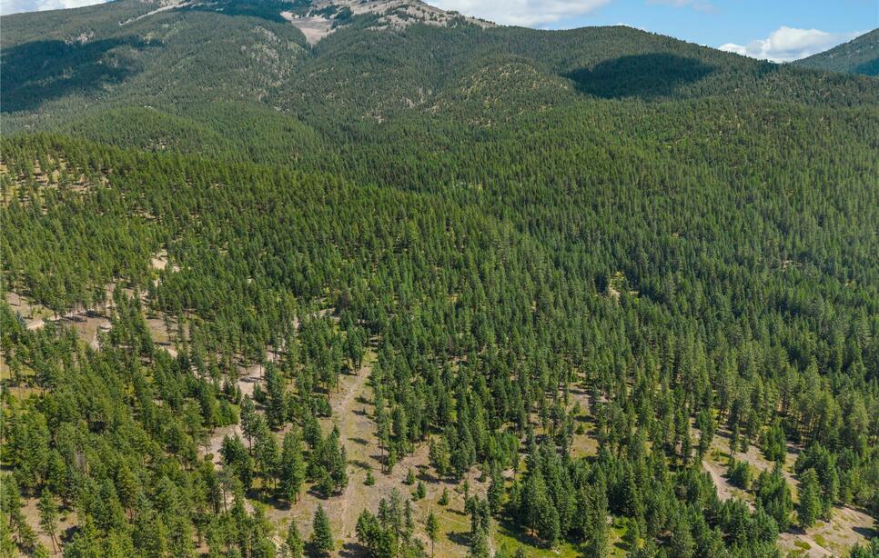 Nhn Lot 16a Corona Court, Plains