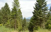 270 Antler Ridge Road, Whitefish