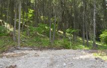 270 Antler Ridge Road, Whitefish