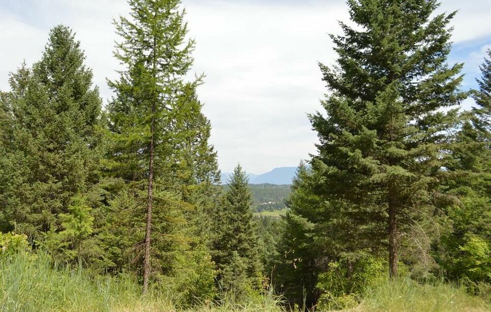 270 Antler Ridge Road, Whitefish