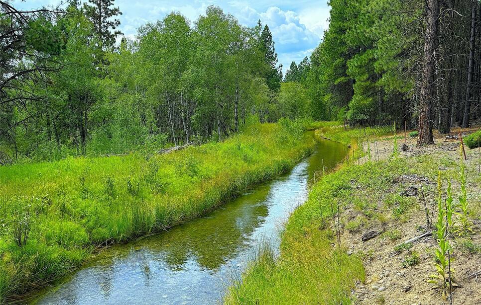 Pomeroy Trail, Eureka
