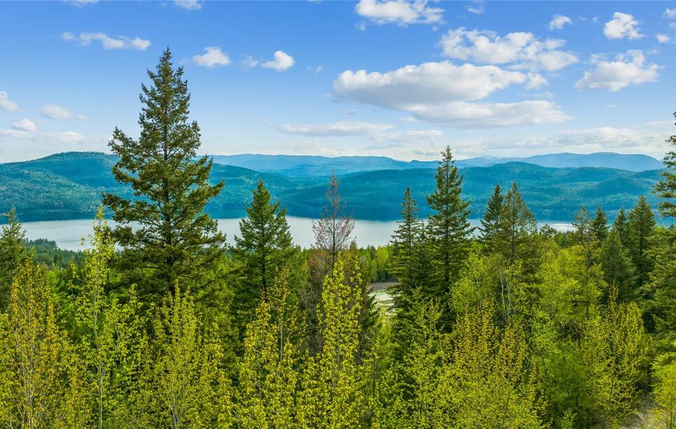 201 Whitefish Lookout Road, Whitefish