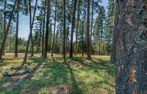 Nhn Yenne Point Road, Bigfork