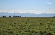 Nhn Rolling Road, Ronan