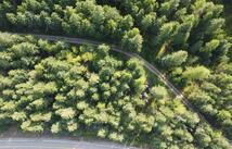 Nhn Mt Hwy 35, Bigfork