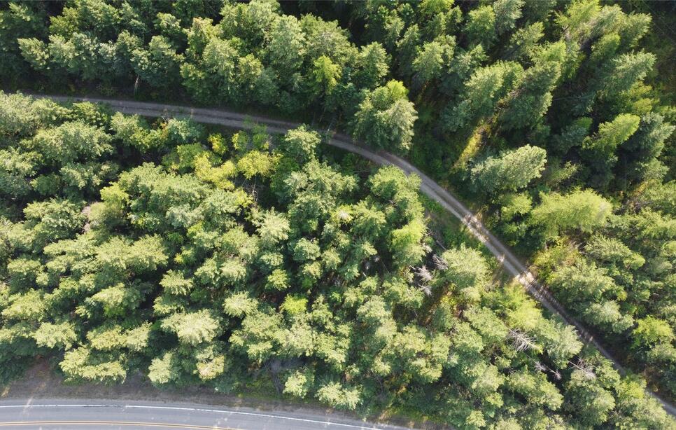 Nhn Mt Hwy 35, Bigfork