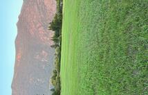 3101 Mt Highway 206, Columbia Falls