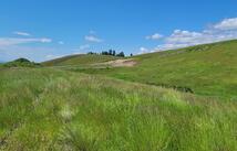 164 Grassy Loop, Eureka