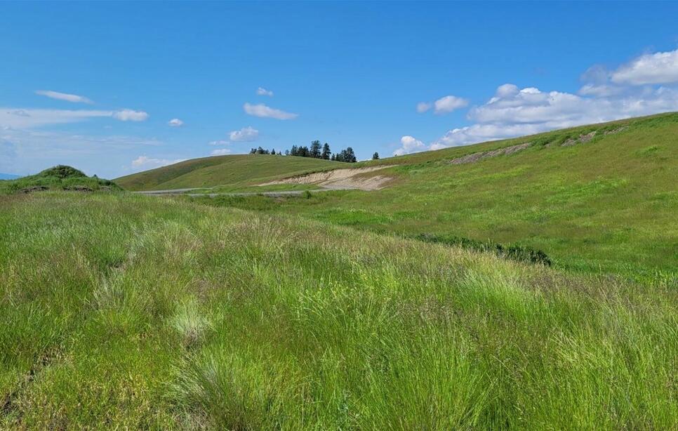 164 Grassy Loop, Eureka