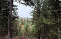 191 Hammond Valley Road, Trego