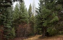 191 Hammond Valley Road, Trego