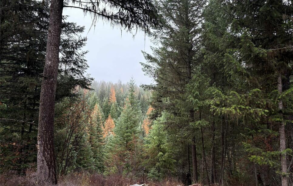 191 Hammond Valley Road, Trego