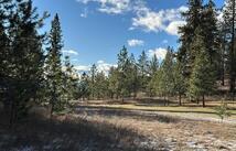 31861 Meadow Road, Polson