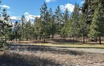 31861 Meadow Road, Polson