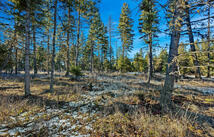 Dayton Creek Road Lot 8, Proctor