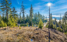 Dayton Creek Road Lot 8, Proctor