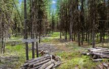 182 New Timber Ridge Trail, Marion