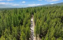 182 New Timber Ridge Trail, Marion