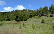 Nhn Bugler Trail, Kila