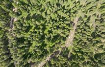 439 Buffalo Trail, Somers