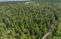 439 Buffalo Trail, Somers