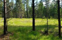 151 Coffee Drive, Eureka