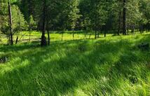 151 Coffee Drive, Eureka