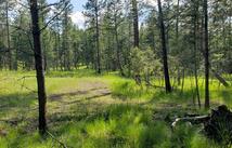 151 Coffee Drive, Eureka