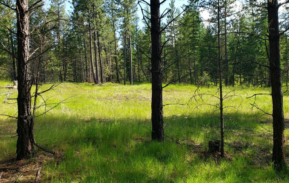 151 Coffee Drive, Eureka