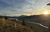 116 Prairie Lane, Kalispell