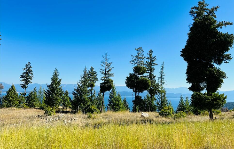 209 Ridge Line Drive, Lakeside