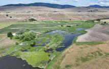 Nhn Lower Lynch Creek Road, Plains