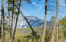 310 Rolling Ridge Drive, Kalispell