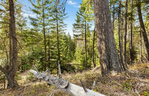 310 Rolling Ridge Drive, Kalispell