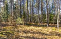 Nhn Rabe Road, Columbia Falls