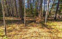 Nhn Rabe Road, Columbia Falls