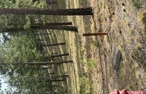 625 Wilderness Club Drive, Eureka