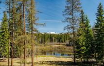 675 Beaver Lake Road, Whitefish