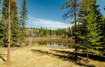 675 Beaver Lake Road, Whitefish