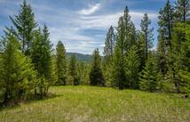 689 Springhill Road, Kila