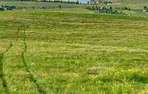 Tbd Lot #1 Tower Road, Polson