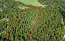 Nhn Fortine Creek Road, Trego