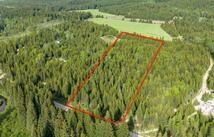 Nhn Fortine Creek Road, Trego