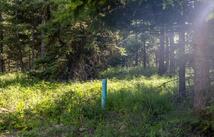 Nhn Fortine Creek Road, Trego