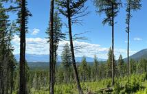 8025 Therriault Pass Road, Eureka